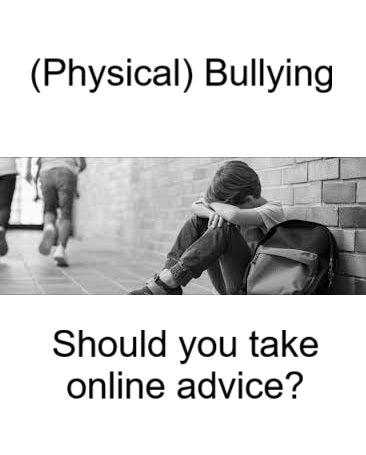 Re (Physical) Bullying of your child - should you follow advice online?