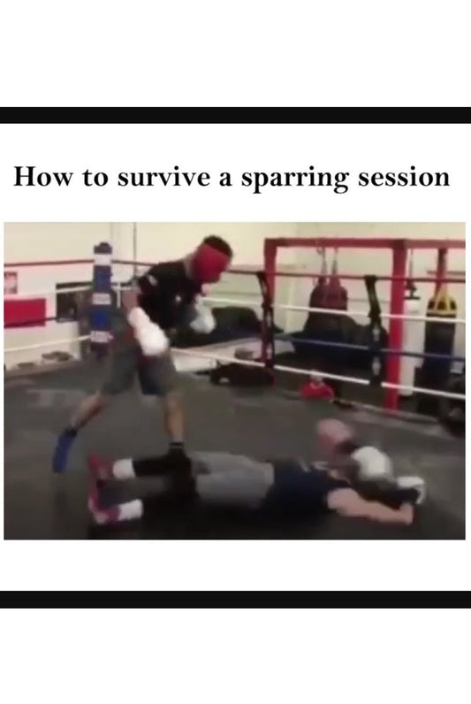 Tips to survive a sparring session