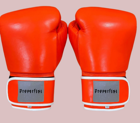 Properfist MMA training gloves